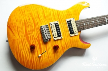 SE Custom 24 - VY